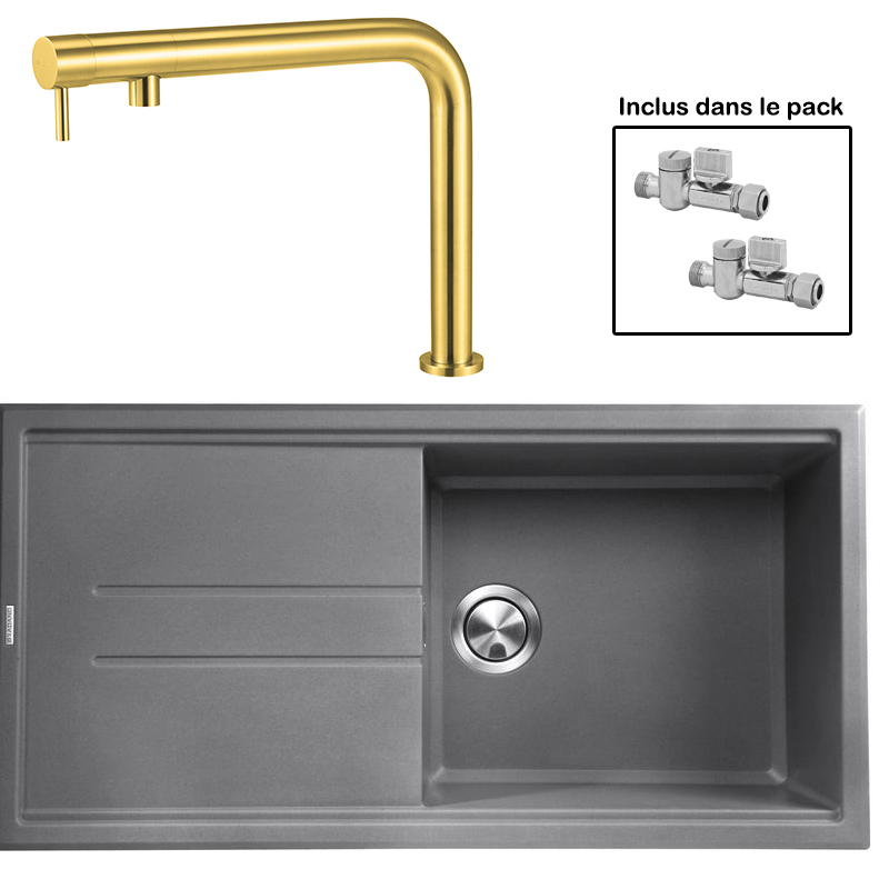 Pack : BRADANIT 48 GRIS + FINO GOLD 316